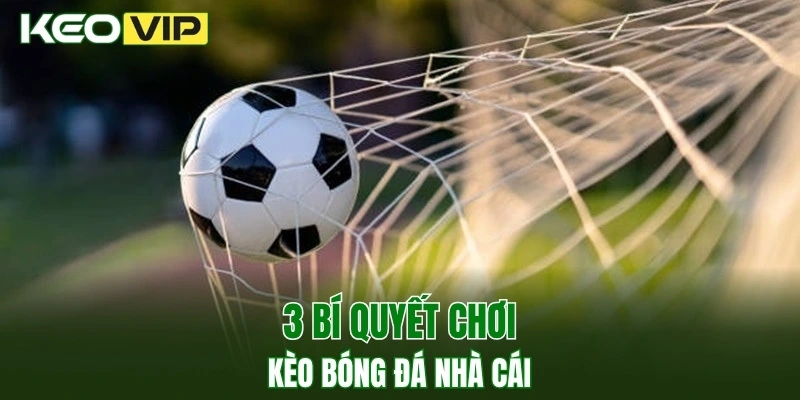 3 bí quyết chơi kèo bóng đá nhà cái