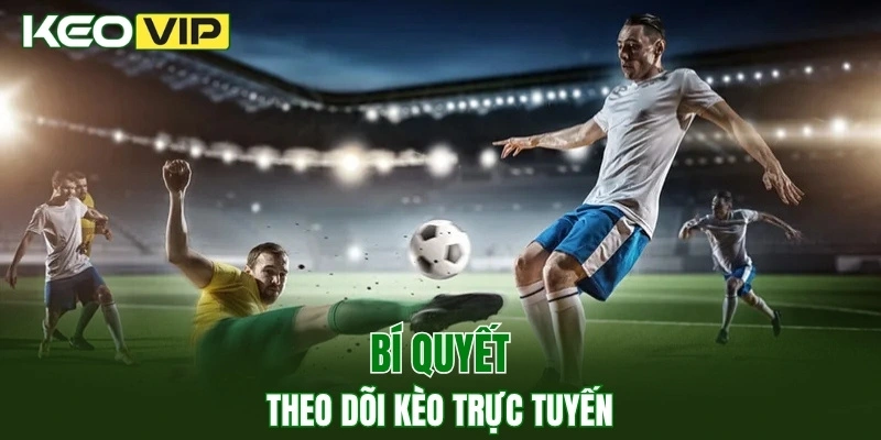 Keo Truc Tuyen - Cách Bắt Kèo Chuẩn, Thắng Lớn Mỗi Ngày 4 Bí quyết theo dõi keo truc tuyen