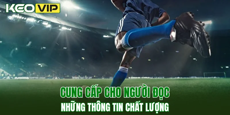 Kèo Thơm Hôm Nay - Làm Sao Để Nhận Biết Kèo Hiệu Quả 4 Cung cấp cho người đọc những thông tin chất lượng