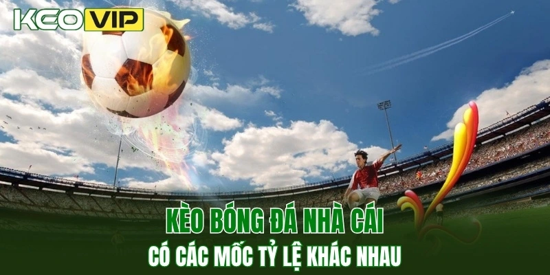 Kèo bóng đá nhà cái có các mốc tỷ lệ khác nhau