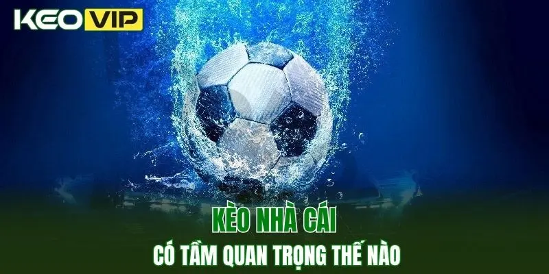 Kèo nhà cái hôm nay có tầm quan trọng thế nào