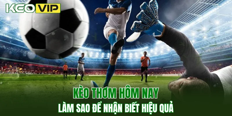 Kèo Thơm Hôm Nay - Làm Sao Để Nhận Biết Kèo Hiệu Quả 1 kèo thơm hôm nay