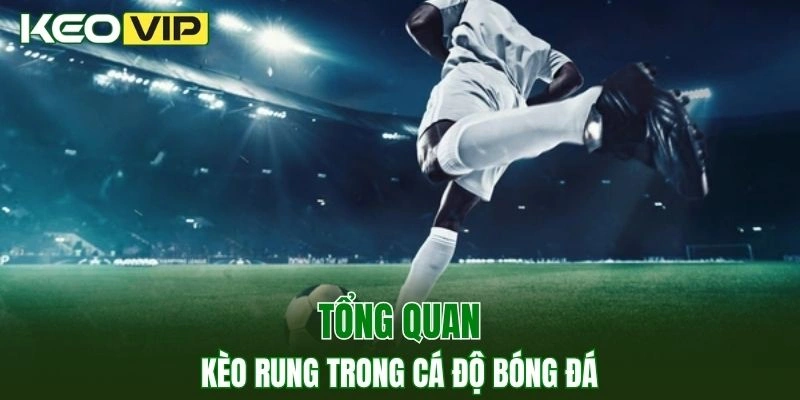Kèo Rung - Bí Kíp Cá Cược Đỉnh Cao Dành Cho Người Chơi 2 Thông tin về kèo rung trong cá độ bóng đá