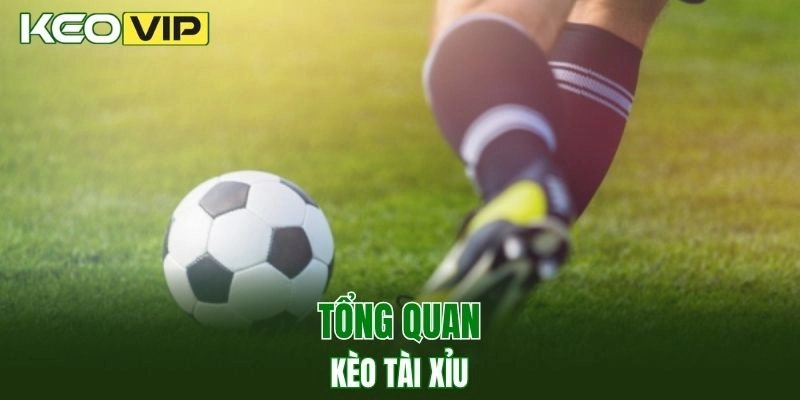Tìm hiểu về kèo tài xỉu