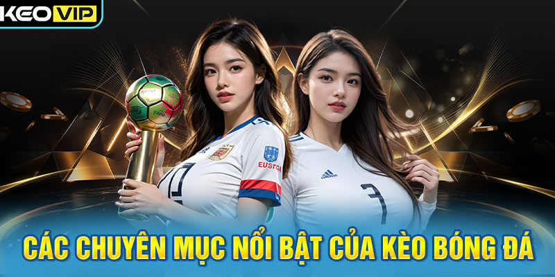 Kèo Bóng Đá 7 Các chuyên mục nổi bật của Kèo Bóng Đá